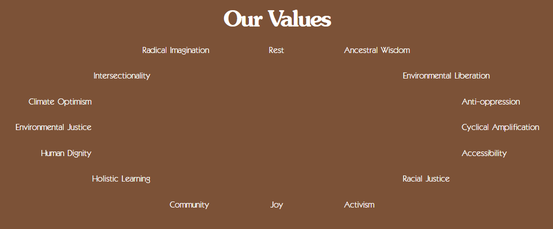 The Intersectional Environmentalist Values are placed in a circular fashion against a brown background